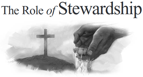 The Role of Stewardship