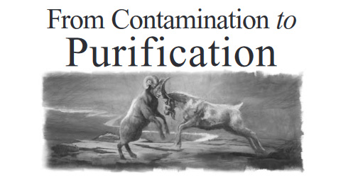 From Contamination to Purification