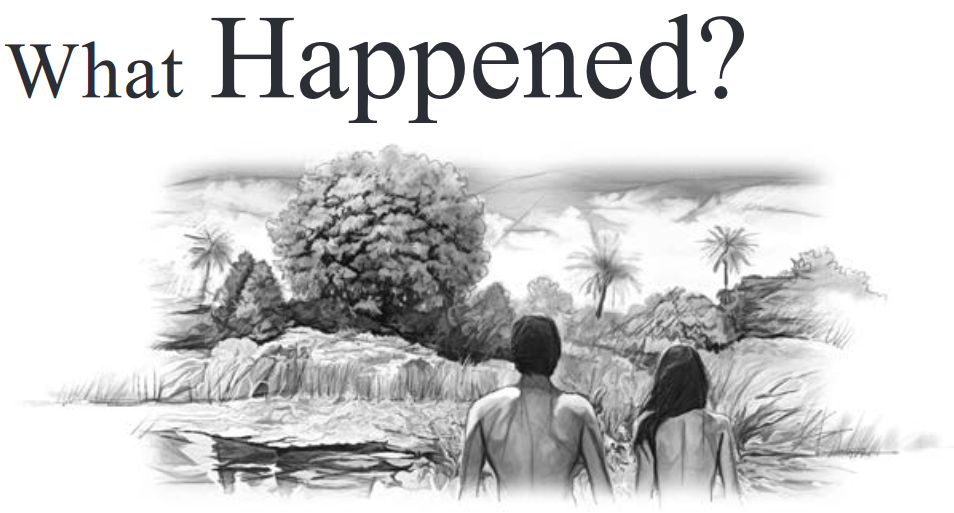 What Happened?