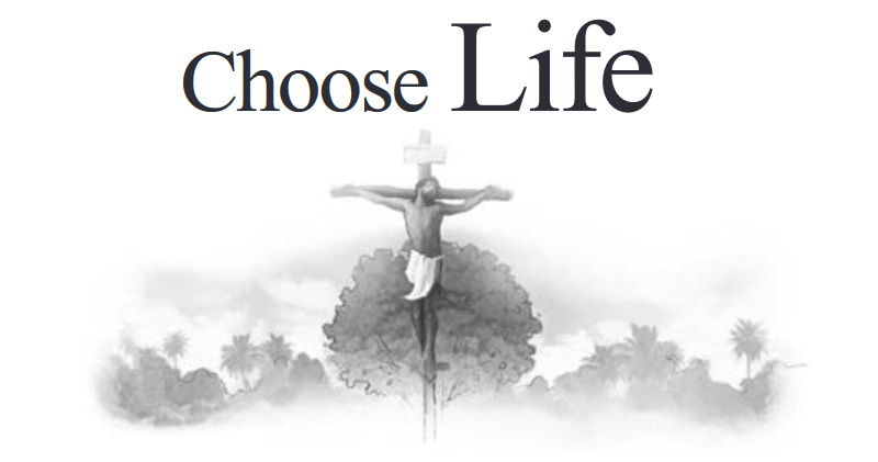 Lesson 8: Choose Life (4th Quarter 2021) - Sabbath School Weekly Lesson. Weekly lesson for in-depth Bible study of Word of God.