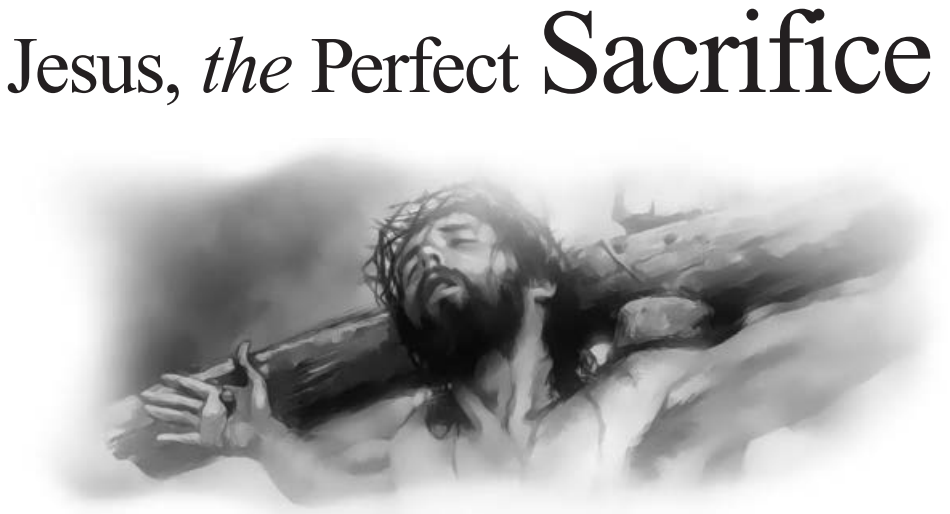 Jesus, the Perfect Sacrifice