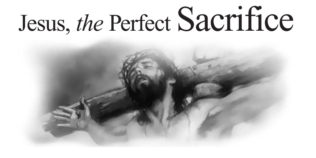 Jesus, the Perfect Sacrifice