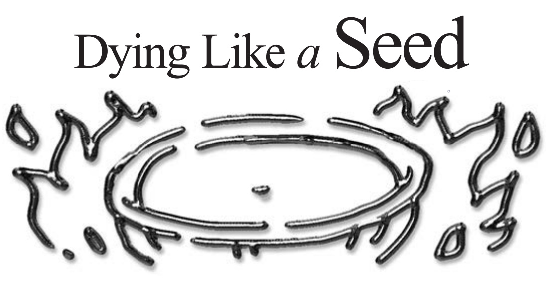 Lesson 12: Dying Like a Seed (3rd Quarter 2022) - Sabbath School Weekly Lesson. Weekly lesson for in-depth Bible study of Word of God.