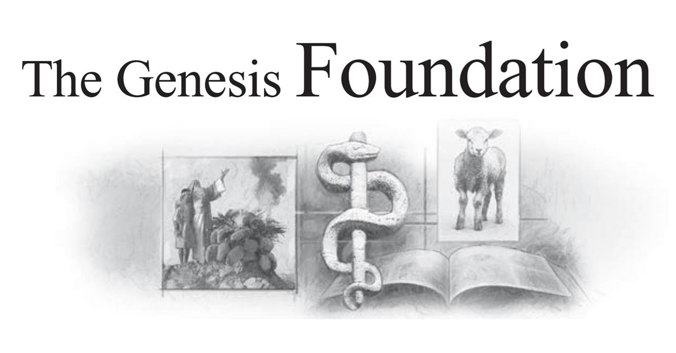 The Genesis Foundation