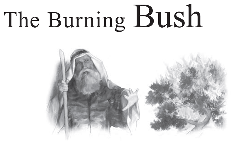 The Burning Bush