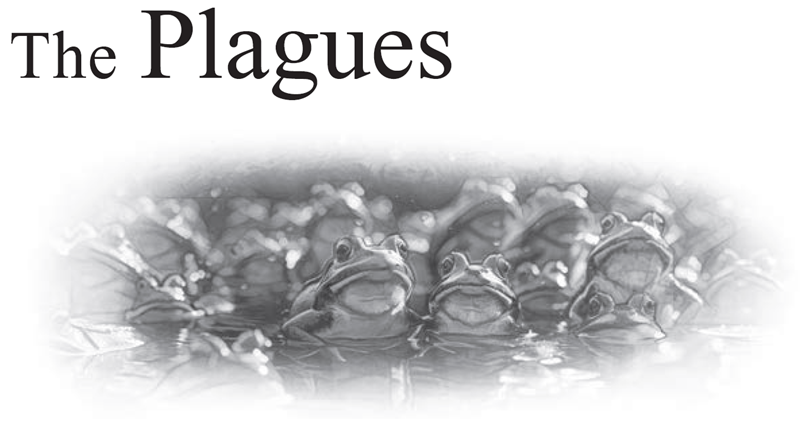 The Plagues