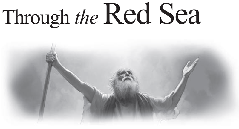 Through the Red Sea