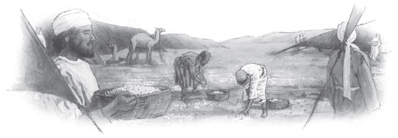 El Pan y el Agua de vida